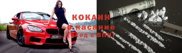 дурь Арсеньев