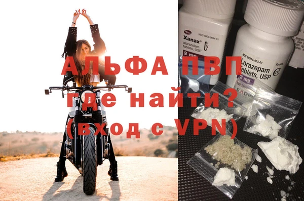 мяу мяу мука Баксан