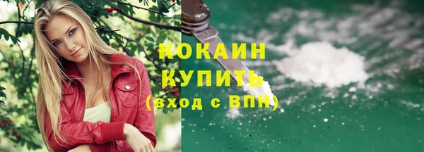 дурь Арсеньев